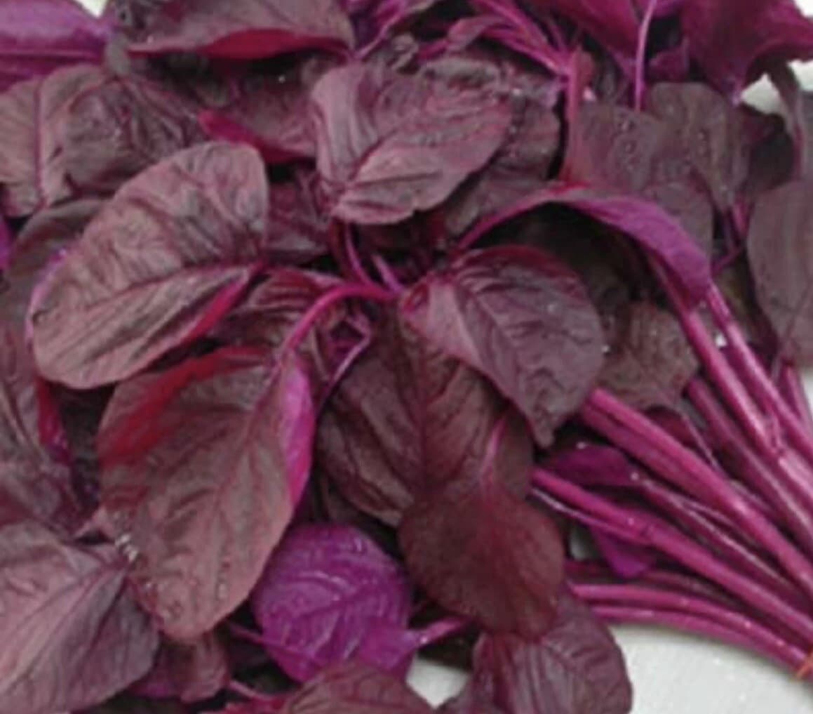 Amaranth spinach